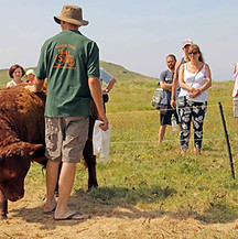 Open Farm Sunday at Hillside Farm © BareFoot Photographer.jpeg
